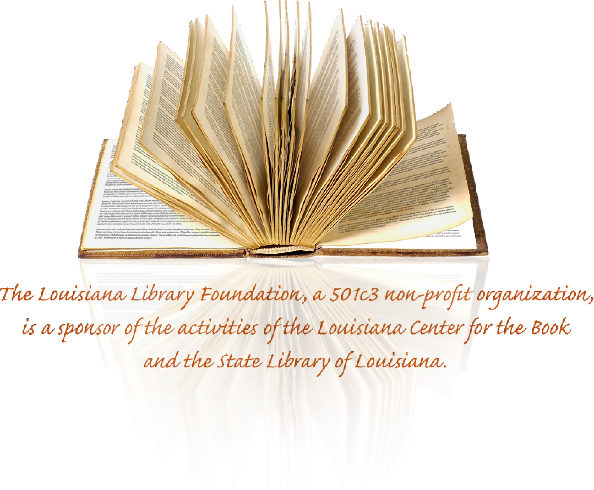 Louisiana Library Foundation Fundraising Brochure